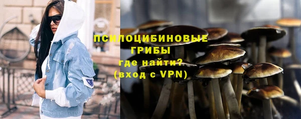 a pvp Алексин