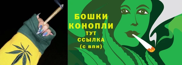 прущие грибы Переславль-Залесский