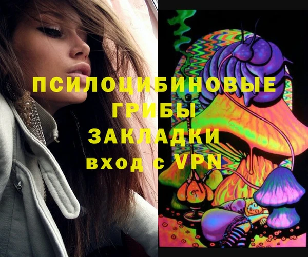 ECSTASY Алексеевка