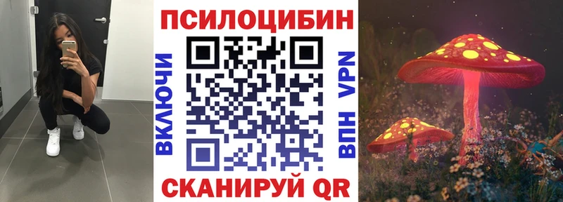 ссылка на мегу tor  дарнет шоп  Нижнеудинск  Псилоцибиновые грибы Psilocybe 